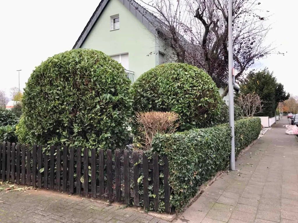 Treppenhausreinigung: Detailaufnahme bei der Arbeit