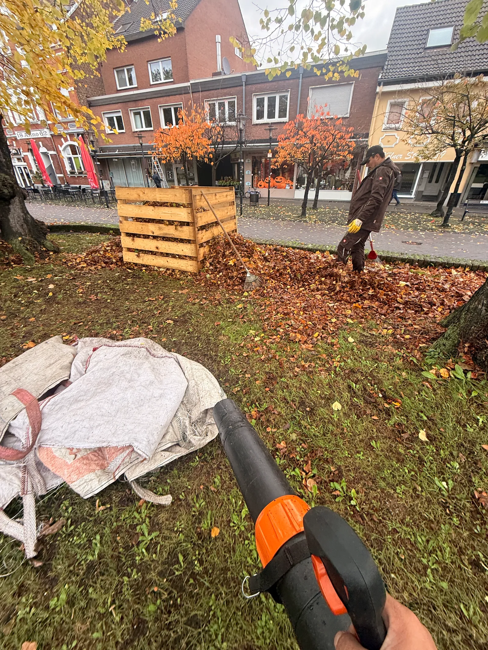 gaertner laubblaeser pov mfh