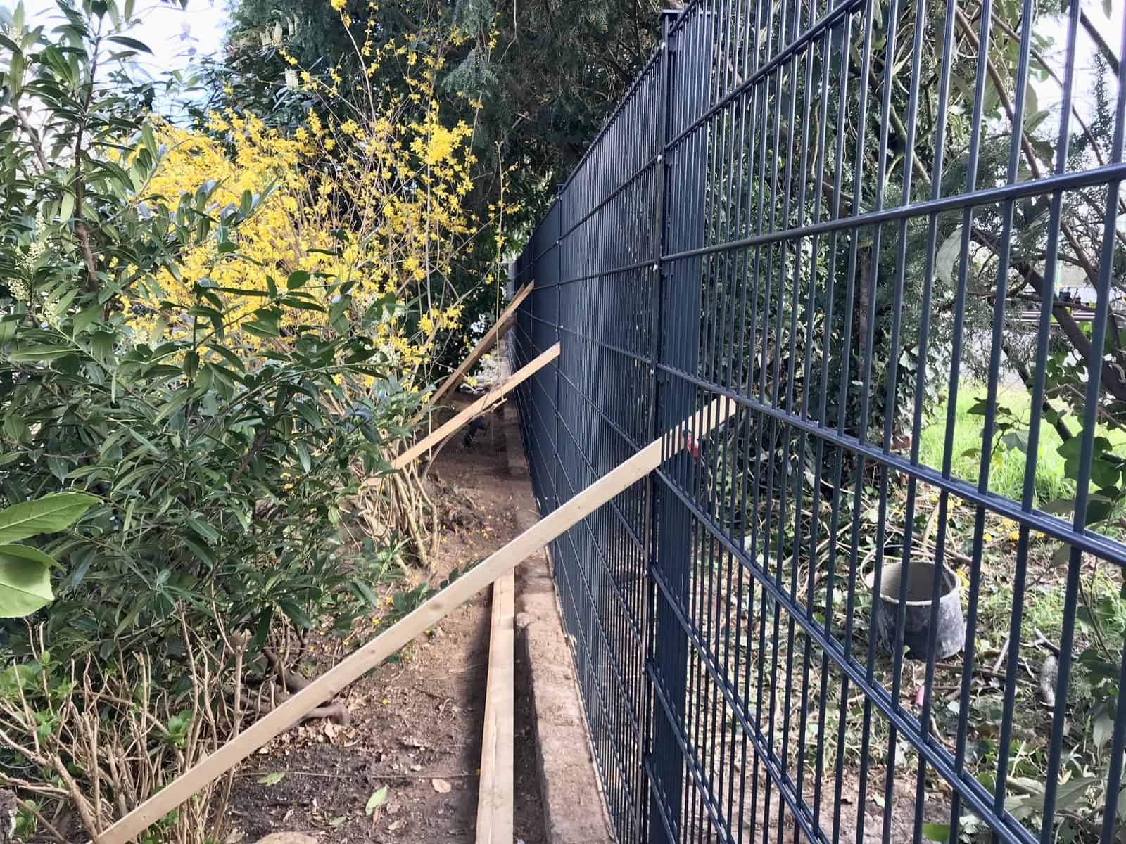 zaunbau doppelstabmattenzaun dormagen